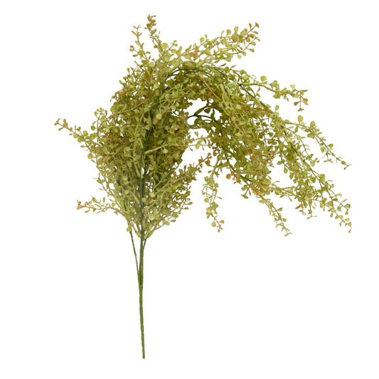 19" Baby's Grass Hanging Bush