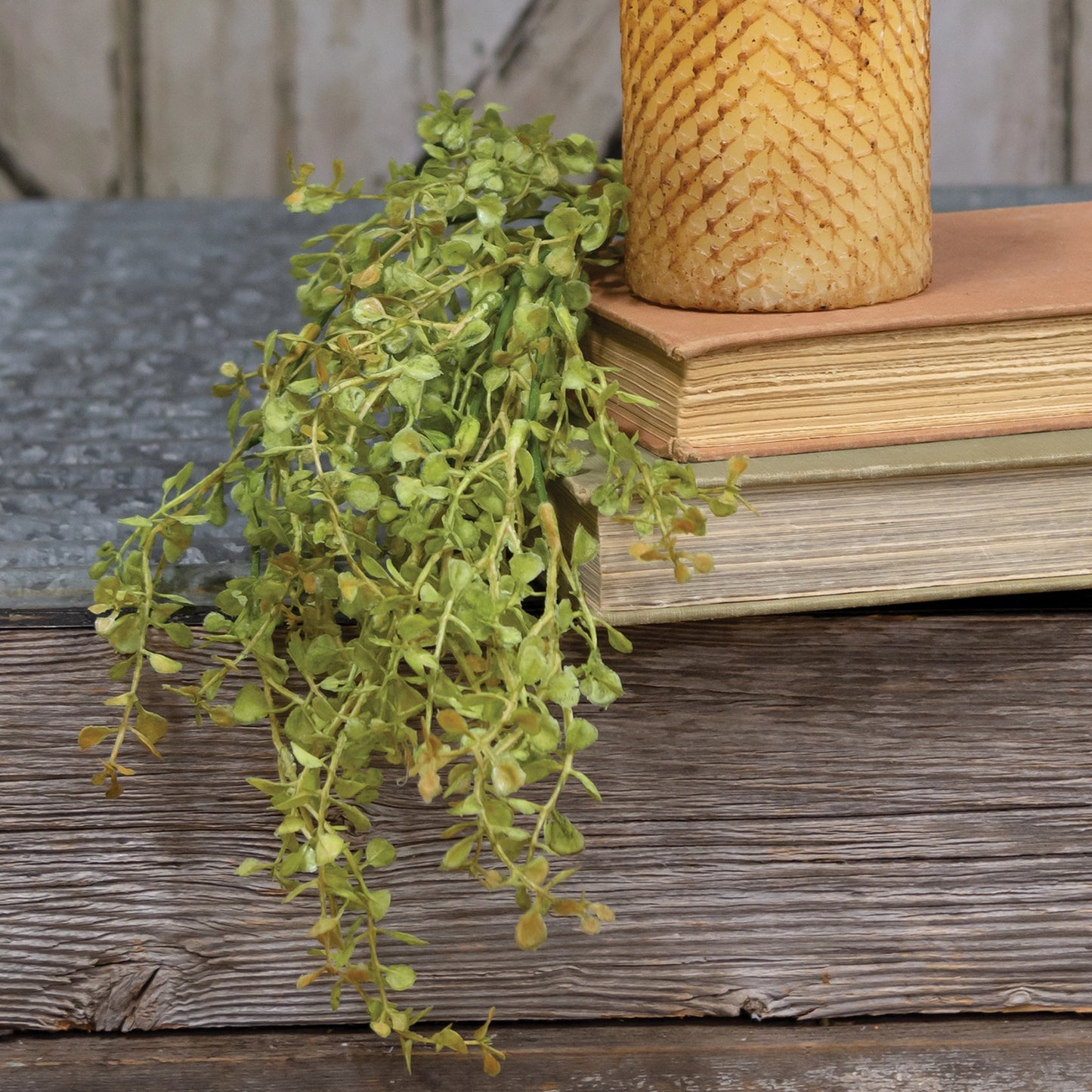 19" Baby's Grass Hanging Bush
