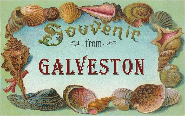 Postcard TX-661 Souvenir from Galveston