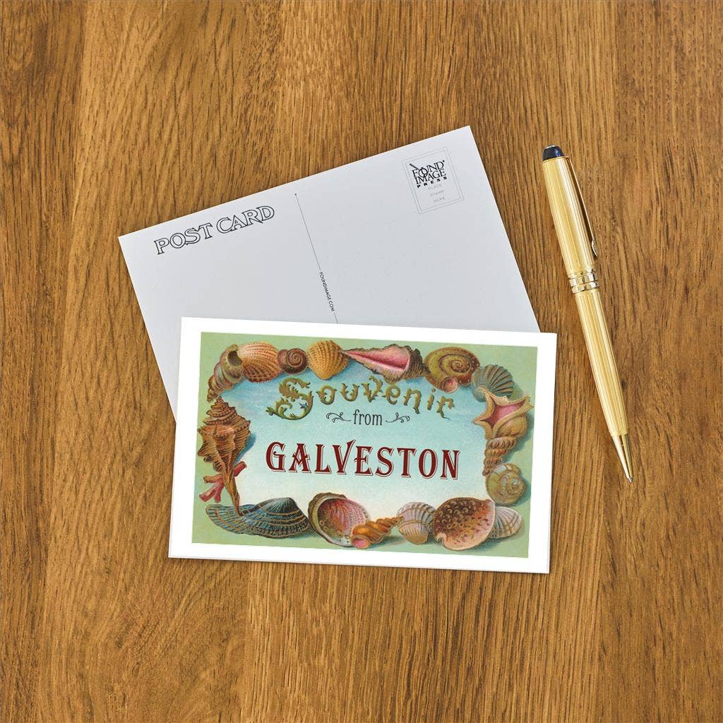 Postcard TX-661 Souvenir from Galveston
