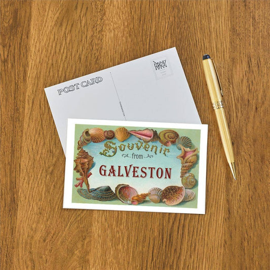 Postcard TX-661 Souvenir from Galveston